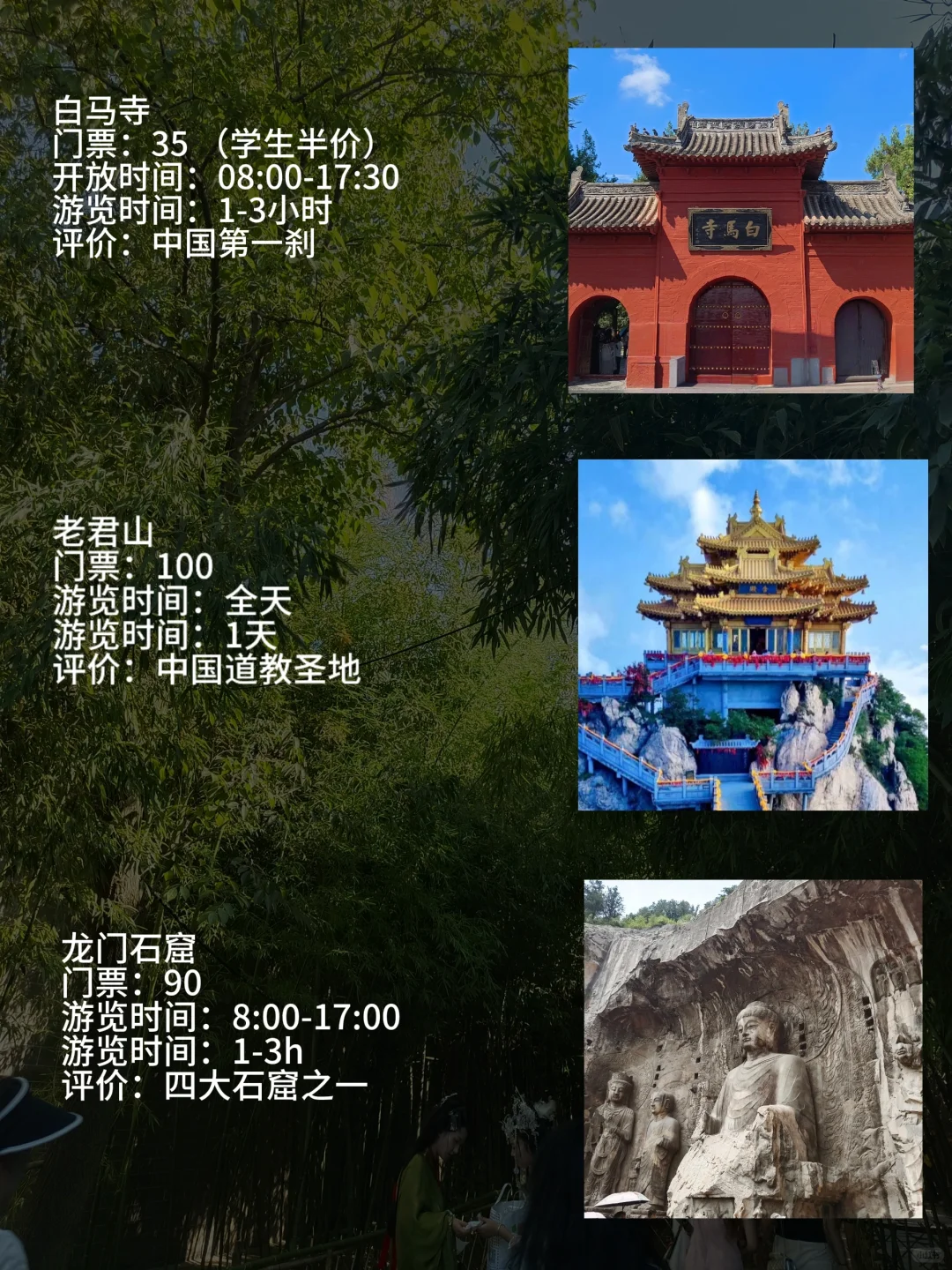 洛阳会惩罚每一个不提前预约的人🤔