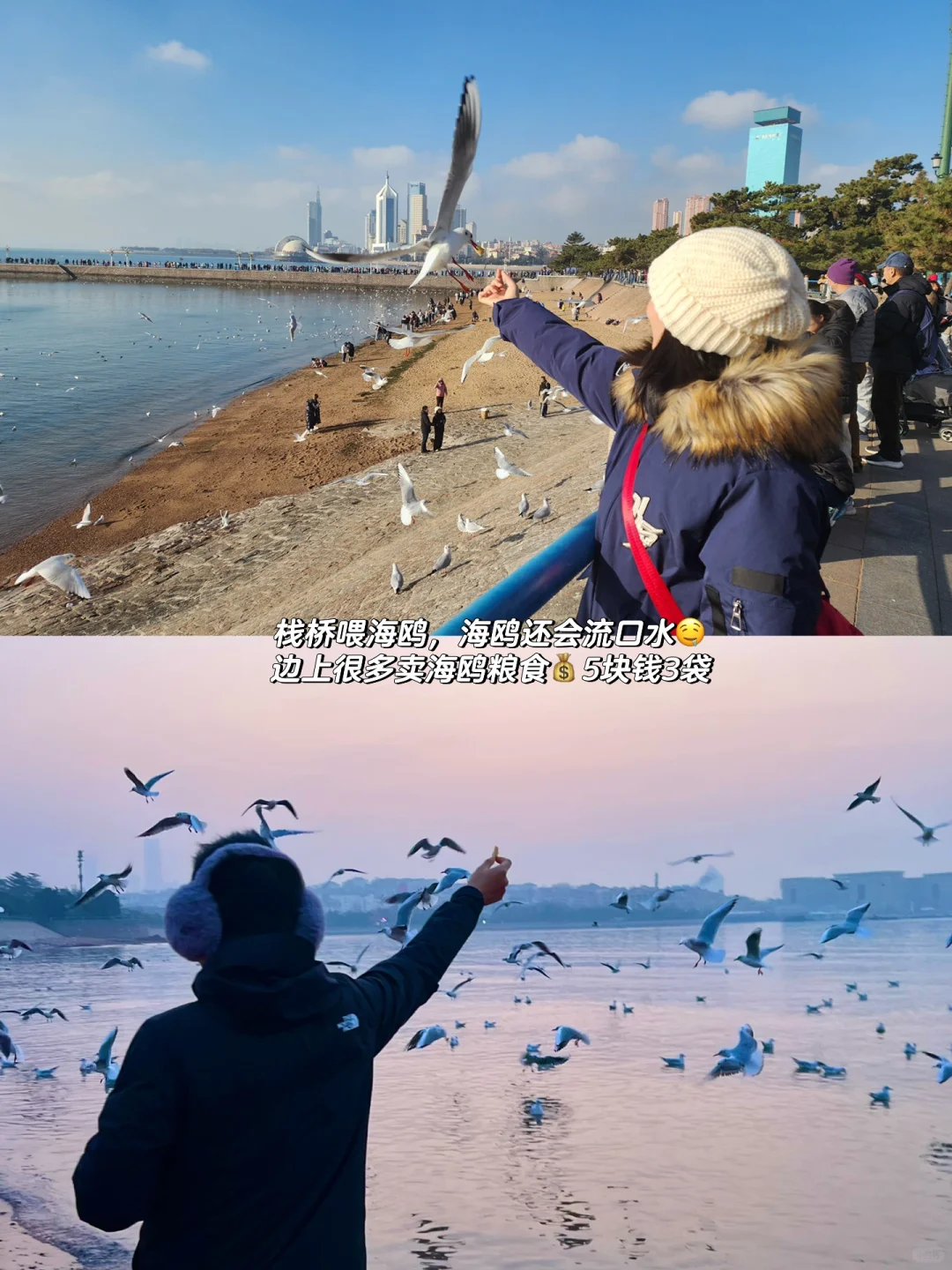 青岛威海四天三夜🌊人均💰2100