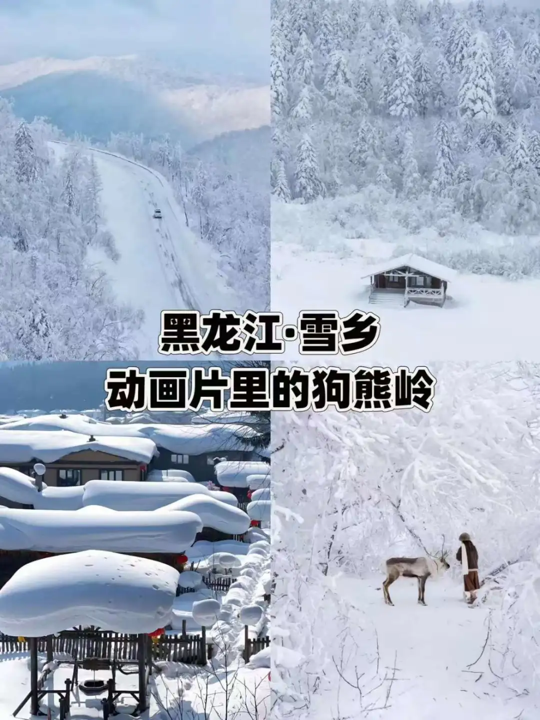 ❄️适合冬天旅游的十大城市