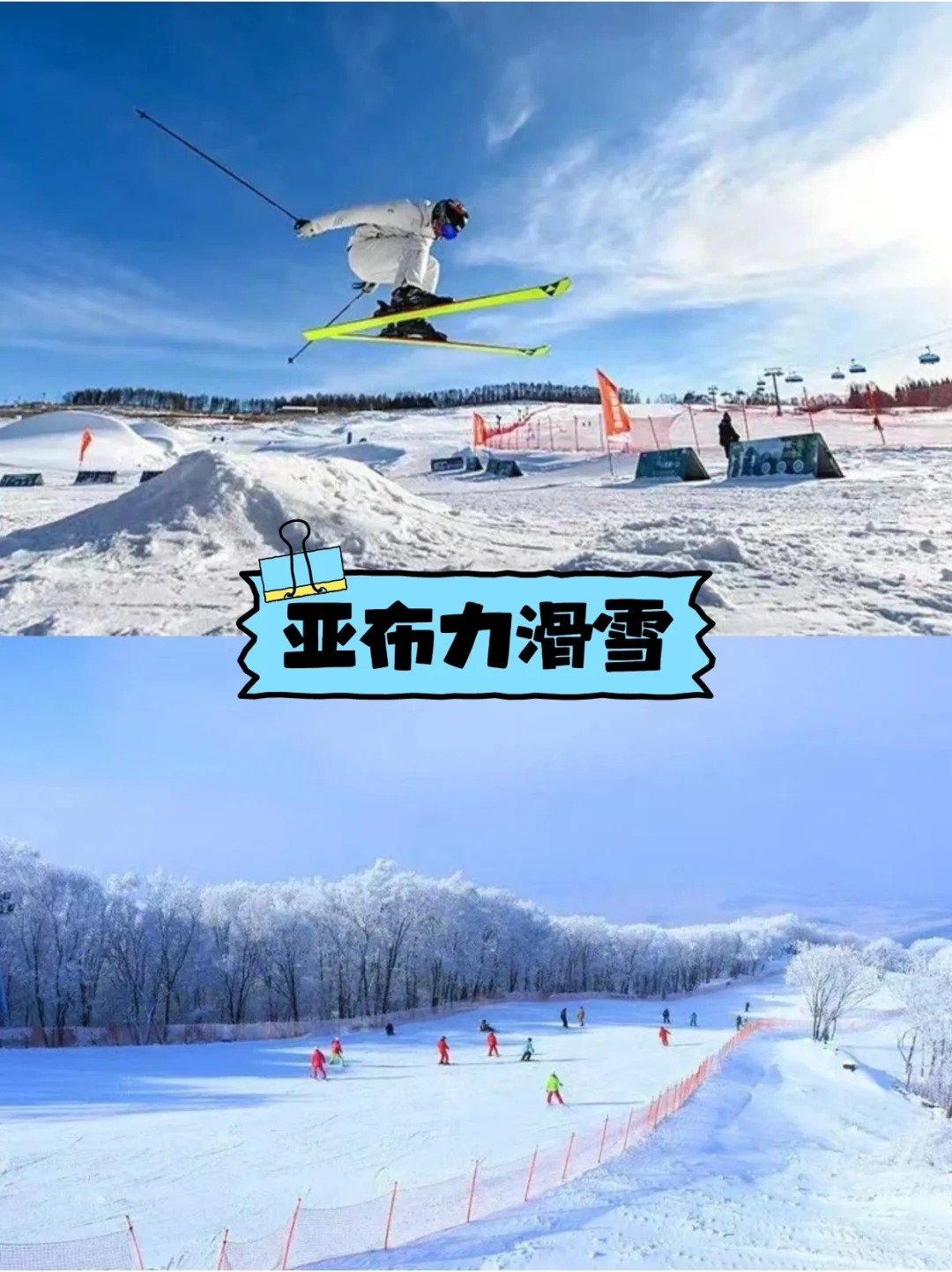 避坑指南~哈尔滨旅游 包车+地陪攻略🔥