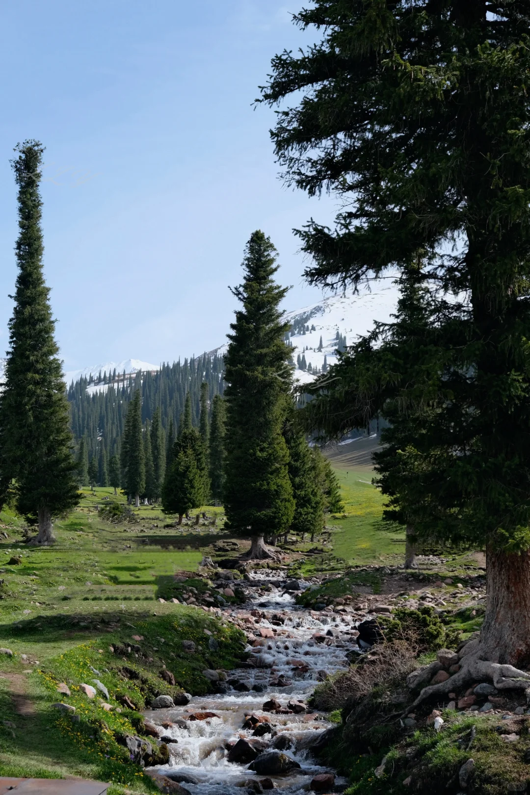 新疆保姆级旅游攻略｜🏔️五月的伊犁美到失语