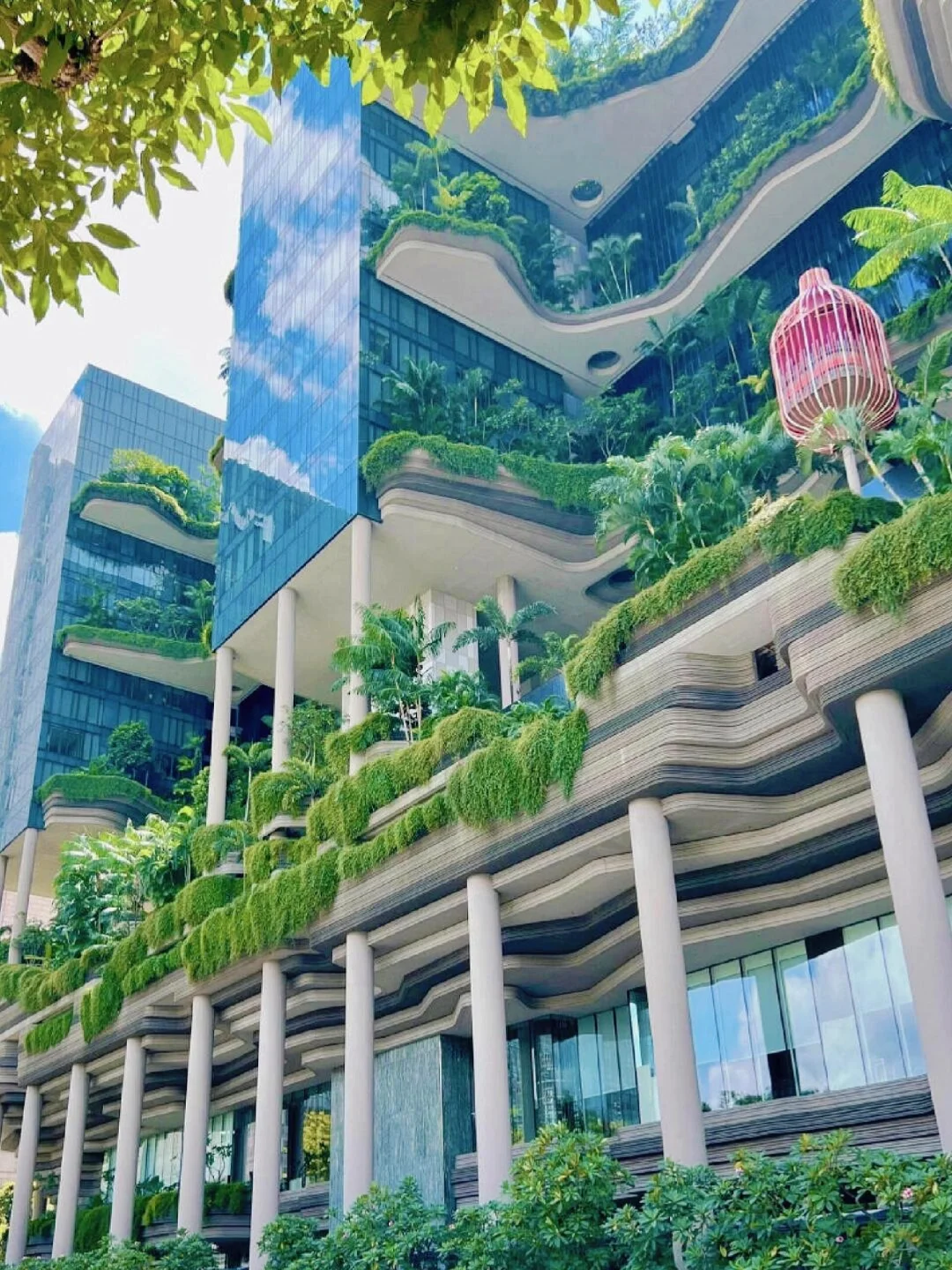 被问N次了🔥10-12月新加坡旅游超全攻略❗