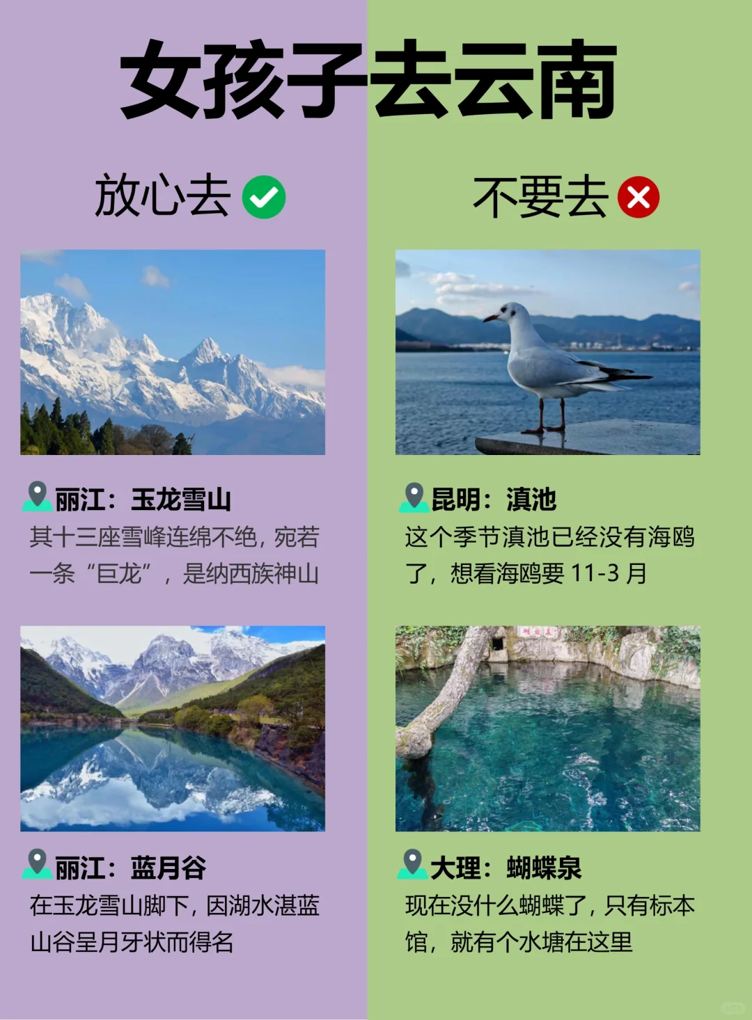 云南旅游攻略✔️女孩子第一次去云南怎么玩