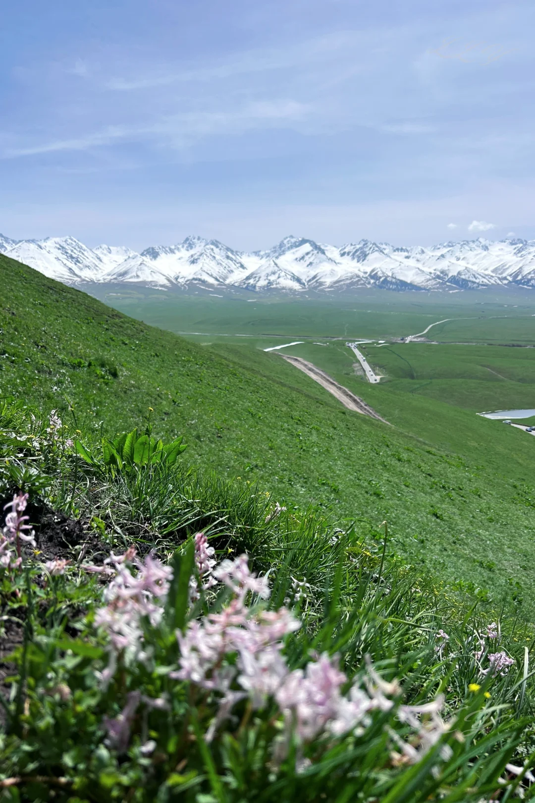 新疆保姆级旅游攻略｜🏔️五月的伊犁美到失语