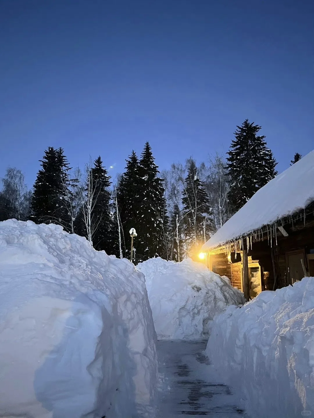❄️冬季阿勒泰|喀纳斯+禾木+滑雪⛷️七日游‼