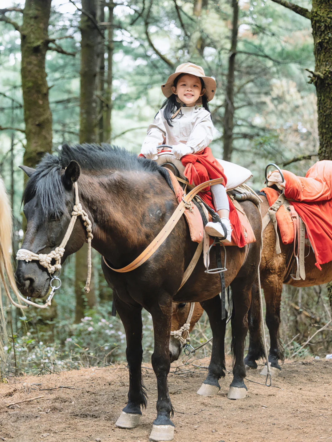 迄今为止,我最喜欢的国内亲子游城市出现了