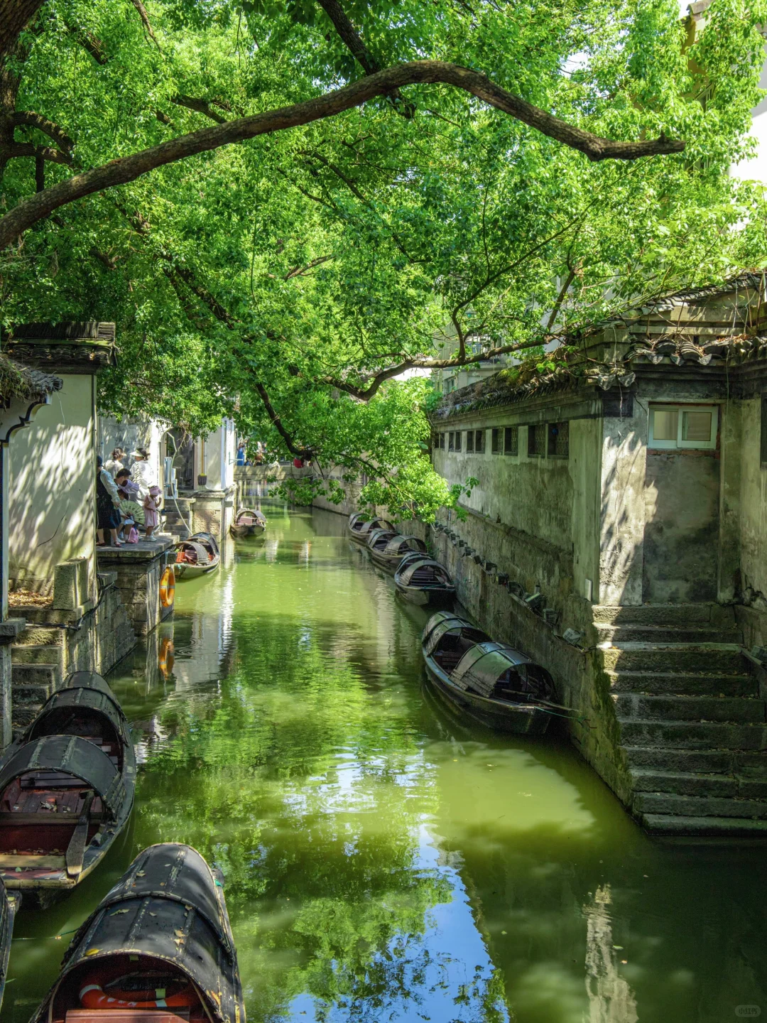 说起江南,绍兴在我心中没有平替!!