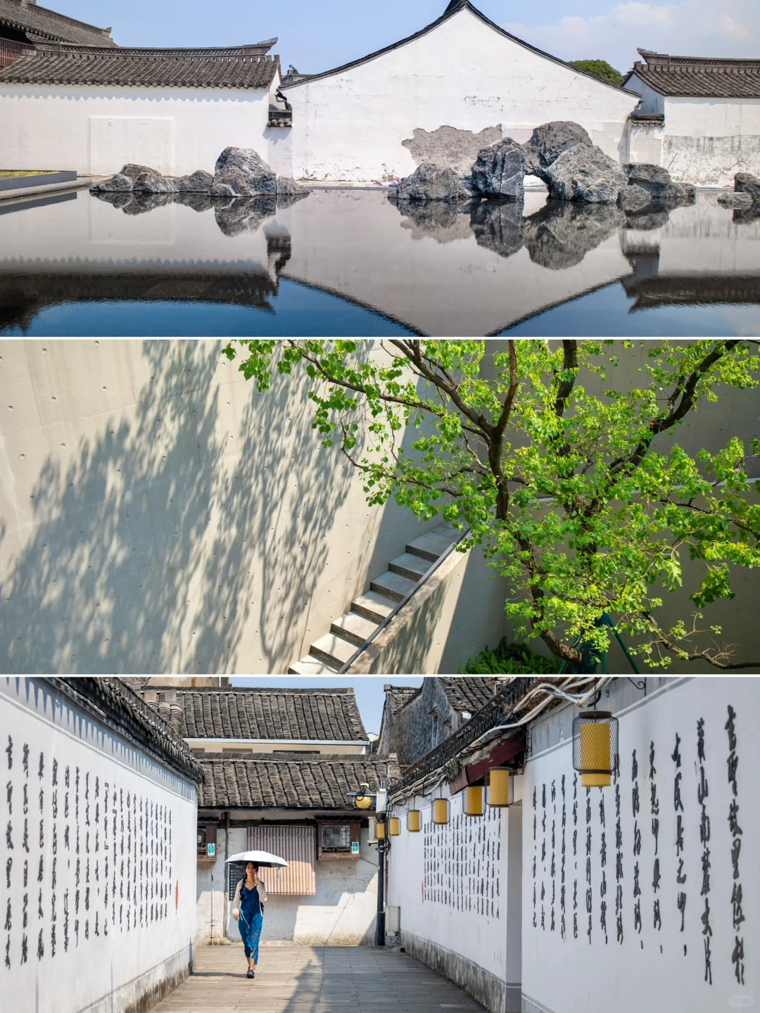 说起江南,绍兴在我心中没有平替!!