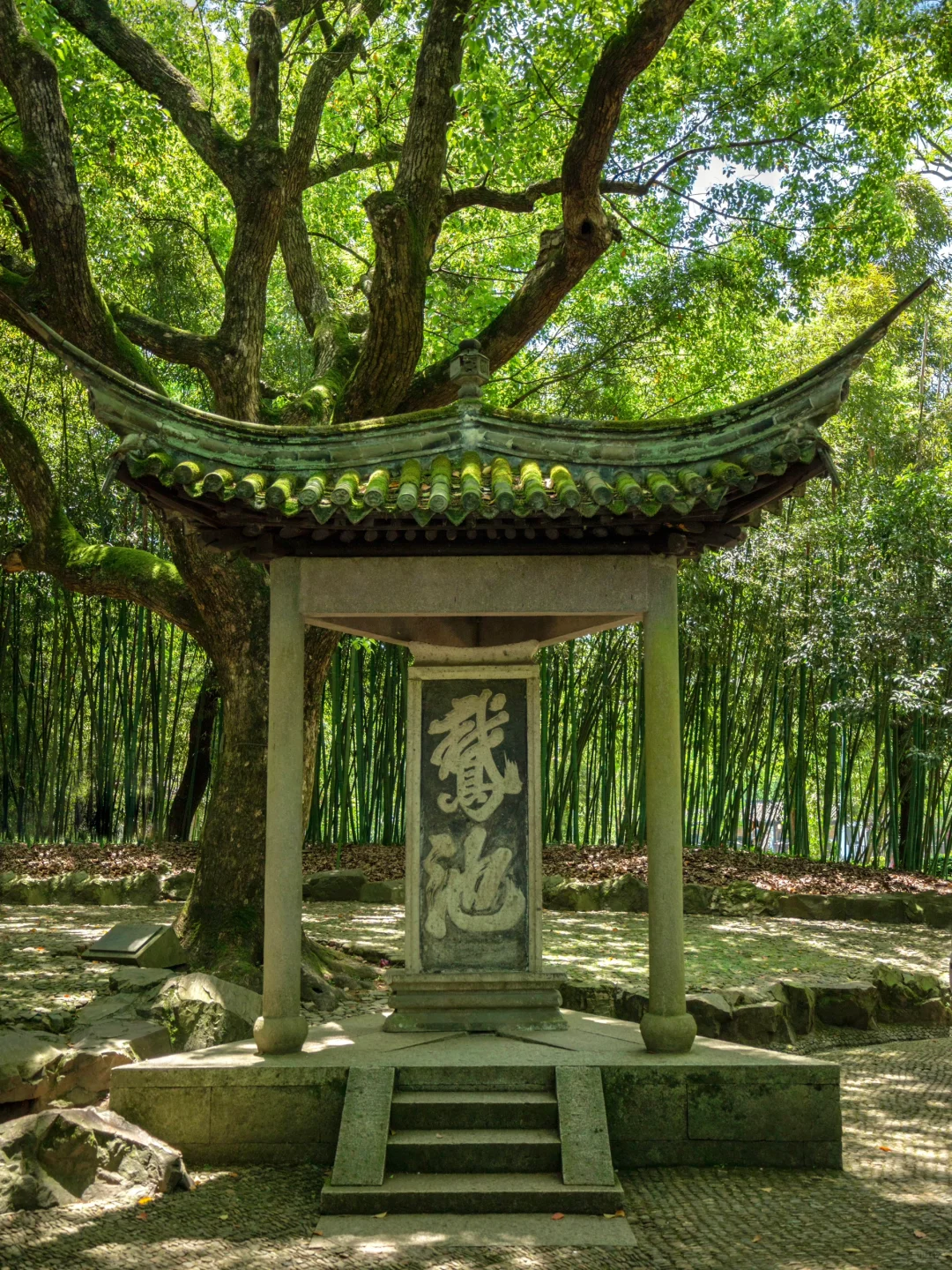 说起江南,绍兴在我心中没有平替!!