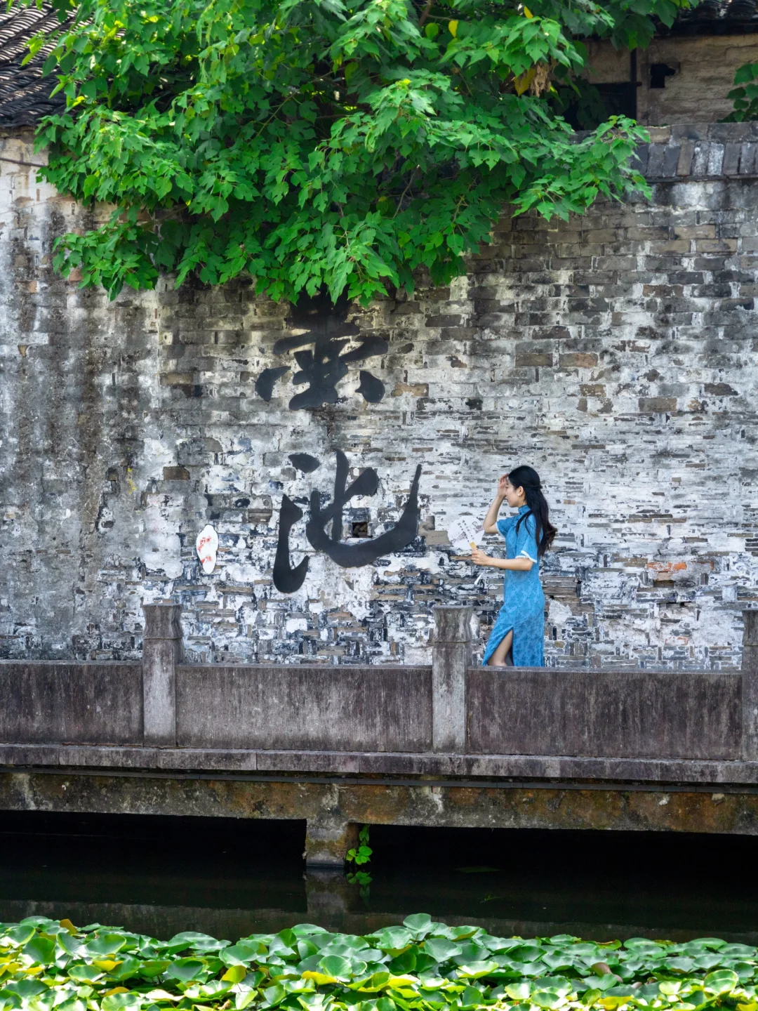 说起江南,绍兴在我心中没有平替!!