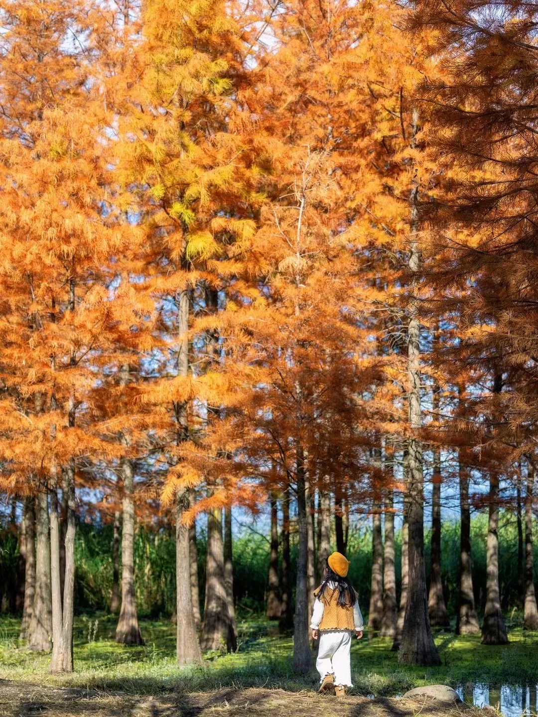 迄今为止,我最喜欢的国内亲子游城市出现了