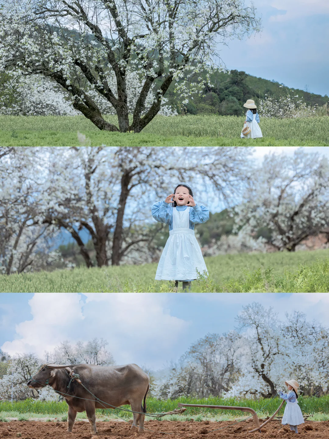 迄今为止,我最喜欢的国内亲子游城市出现了