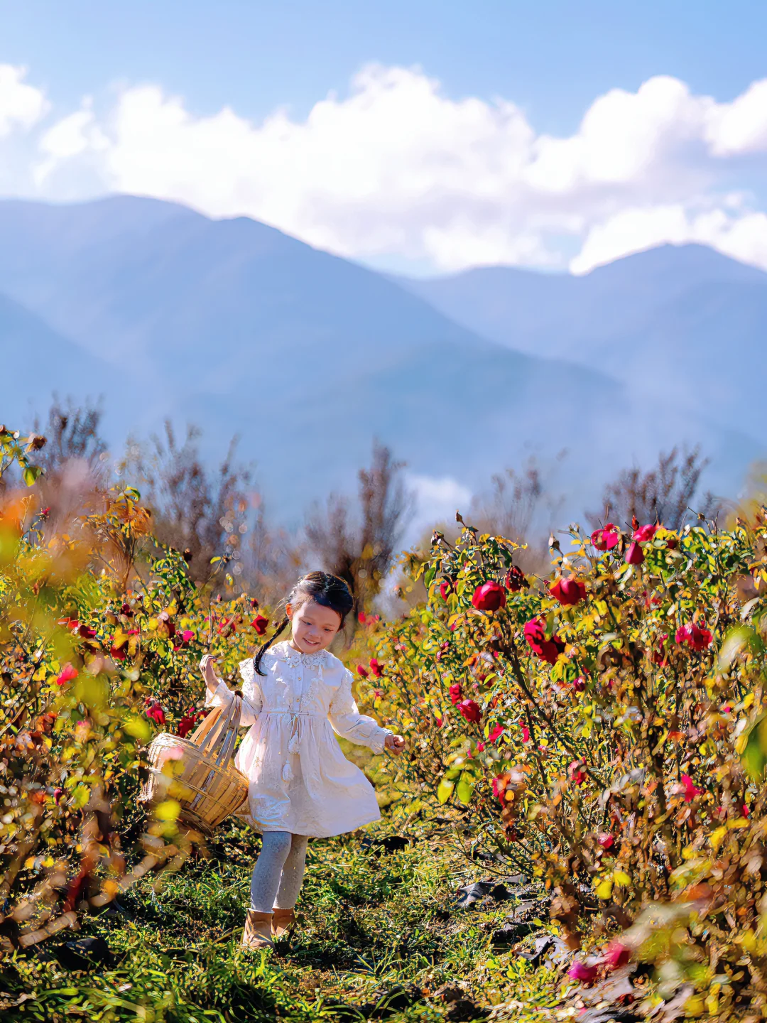 迄今为止,我最喜欢的国内亲子游城市出现了