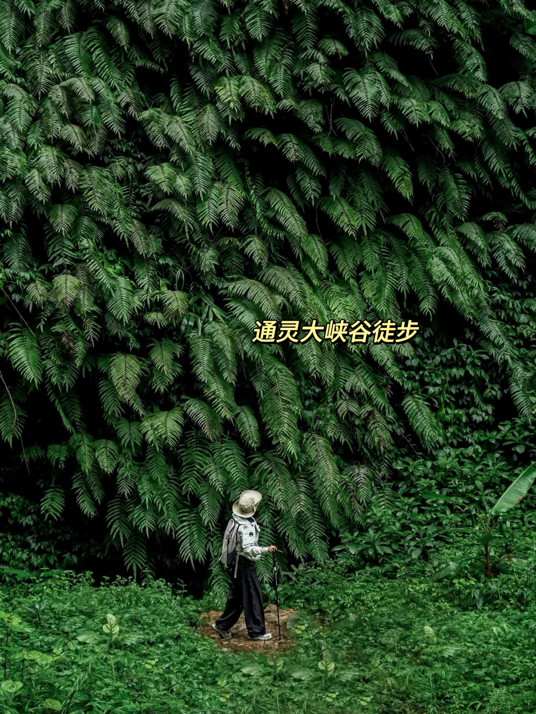 带娃去22℃的崇左过春节，人少景美不输巴厘岛