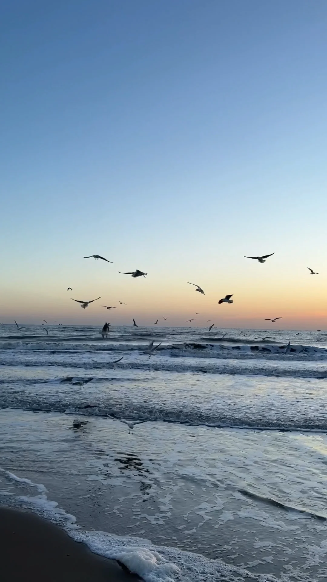 为什么说阿那亚适合冬天去