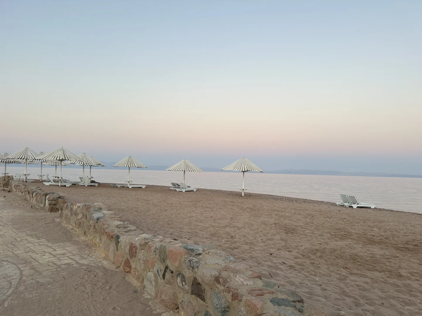 埃及你偷走了我的心