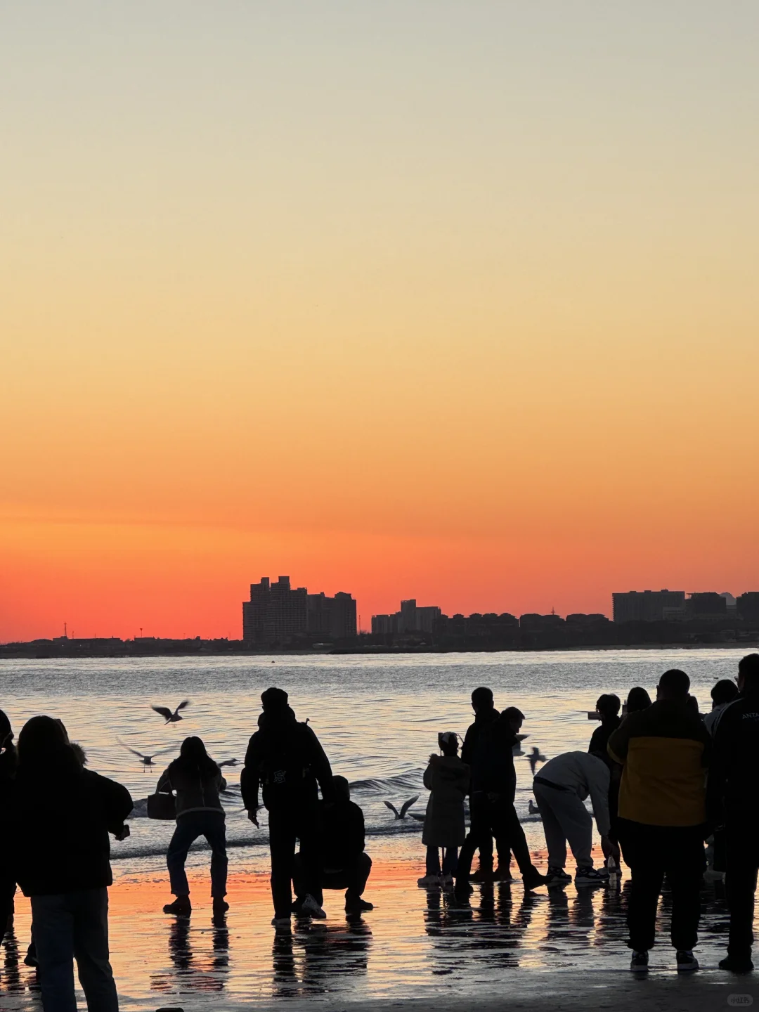 为什么说阿那亚适合冬天去