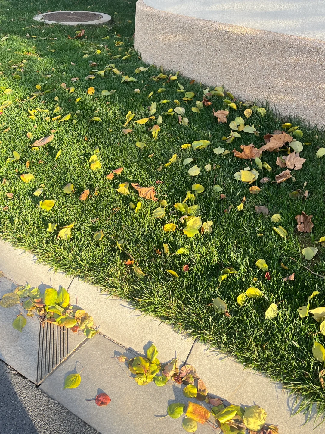 为什么说阿那亚适合冬天去