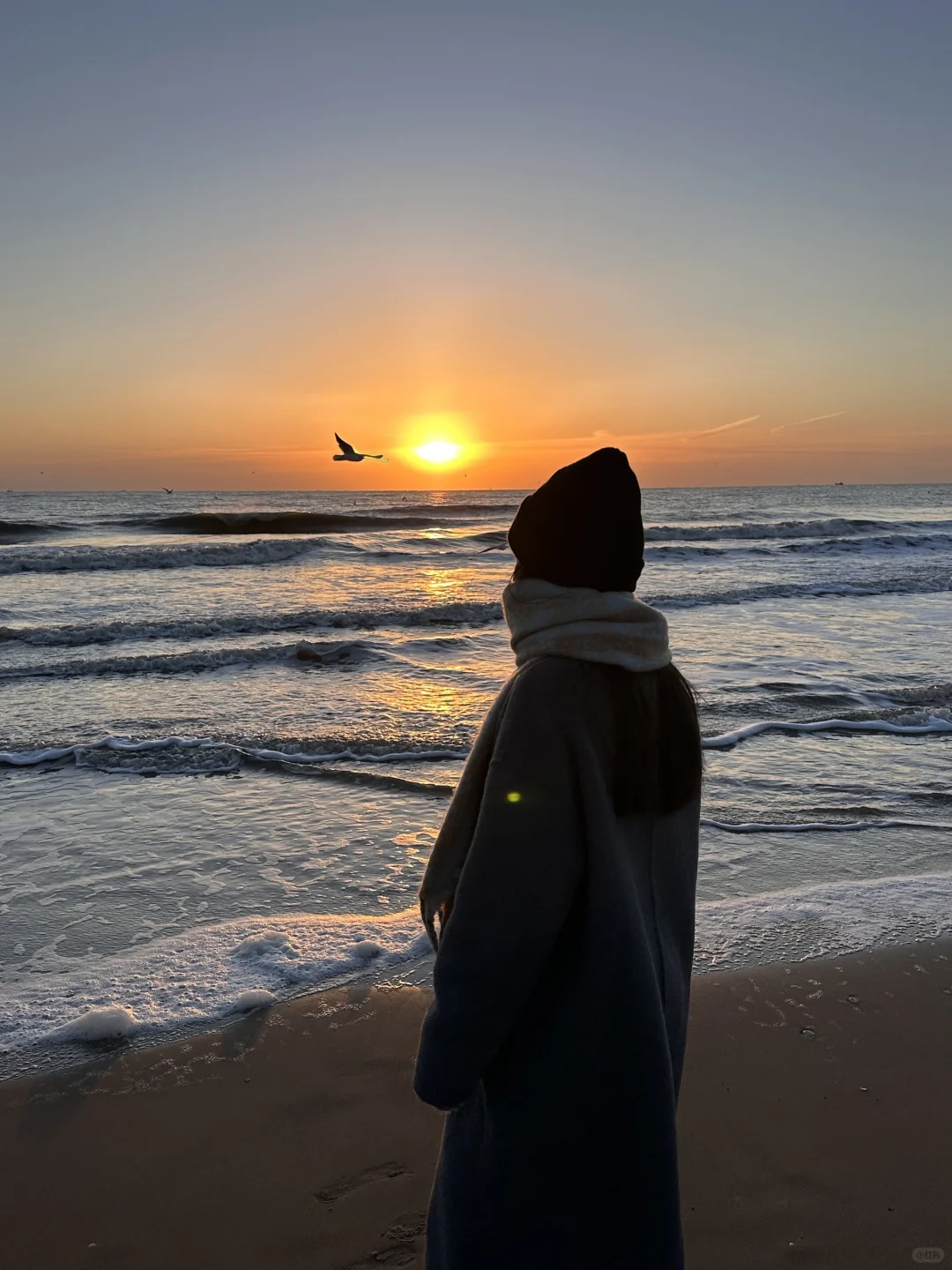 为什么说阿那亚适合冬天去