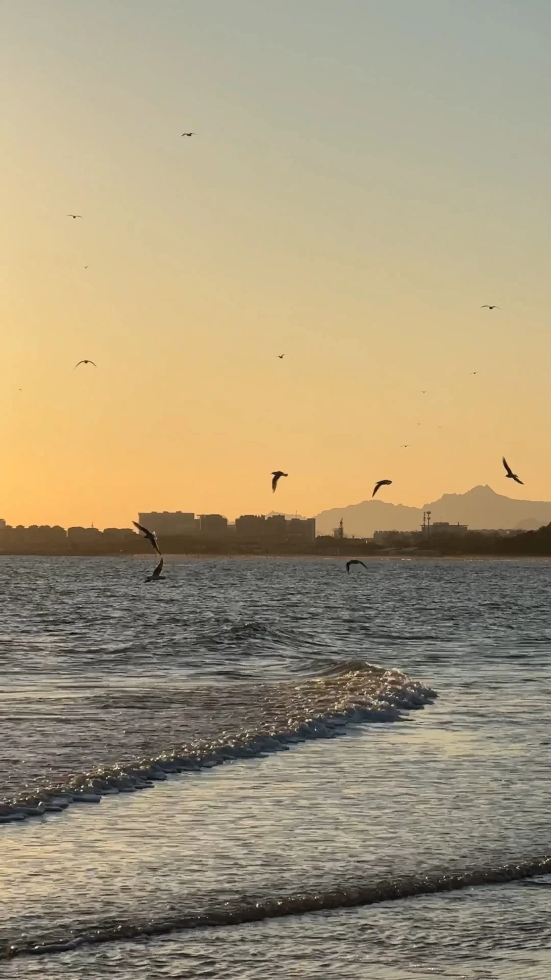 为什么说阿那亚适合冬天去