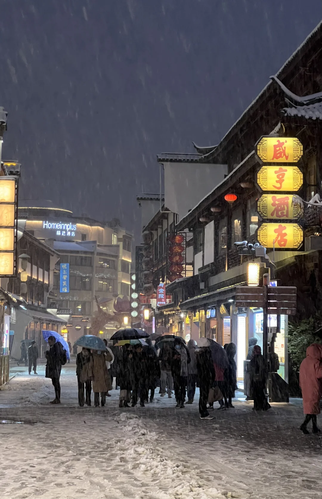 下个月的南京是这样的！！！