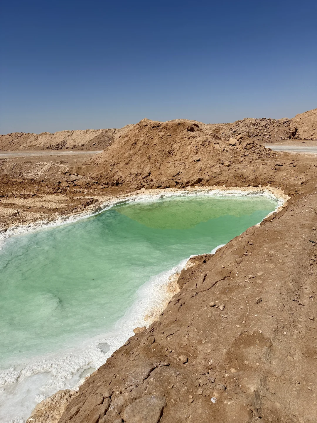 埃及你偷走了我的心