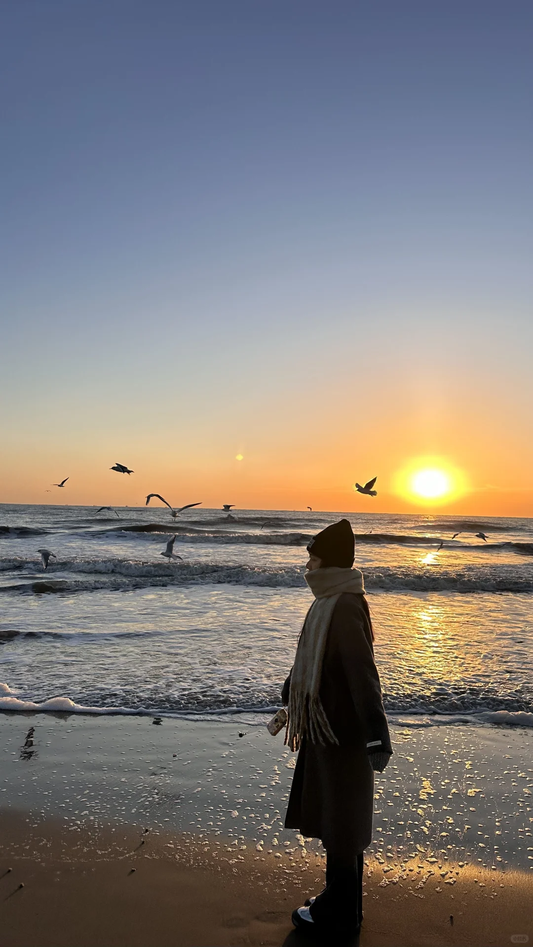 为什么说阿那亚适合冬天去