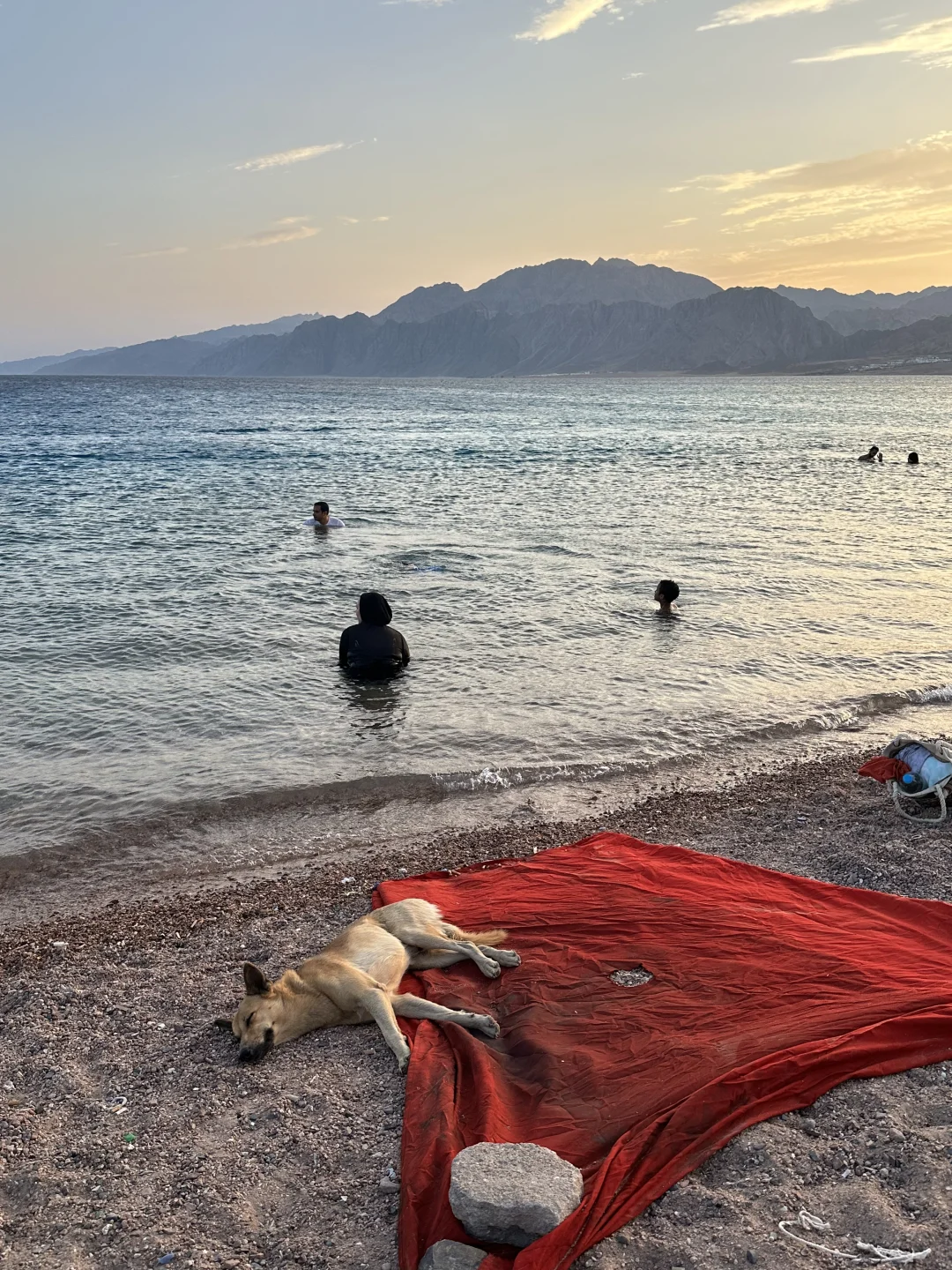 埃及你偷走了我的心