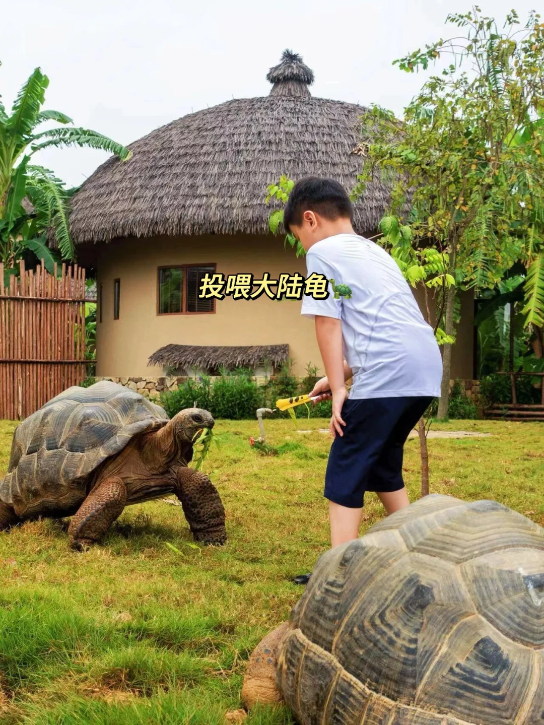 带娃去22℃的崇左过春节，人少景美不输巴厘岛