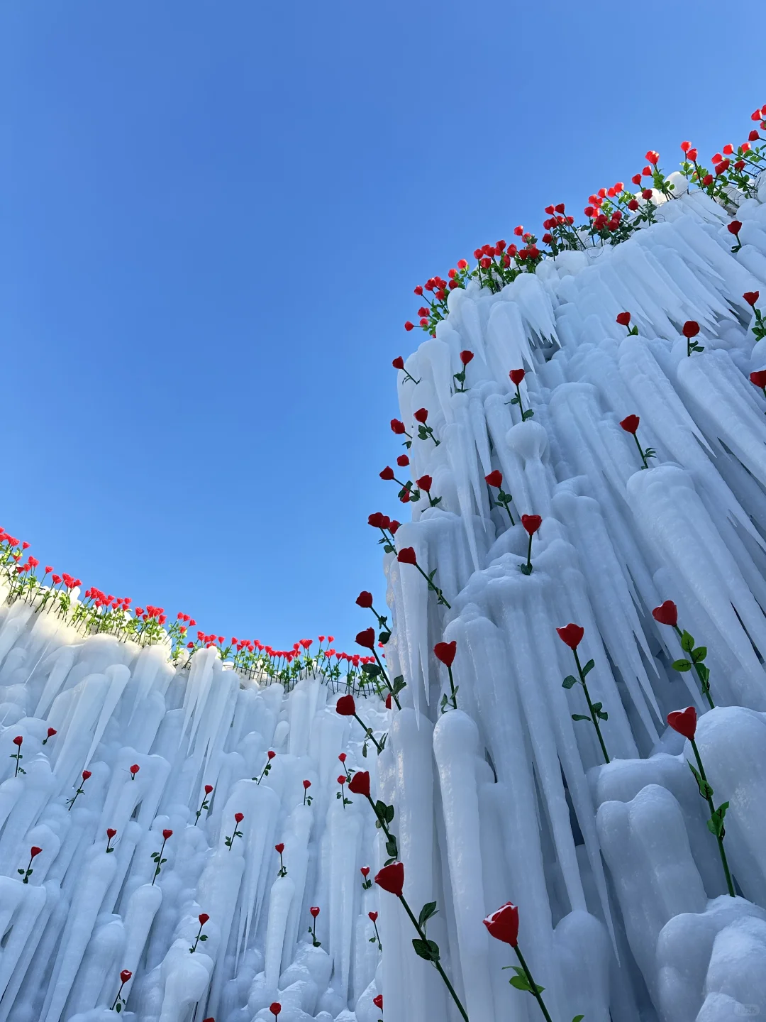 好消息到长白山了！坏消息没去天池