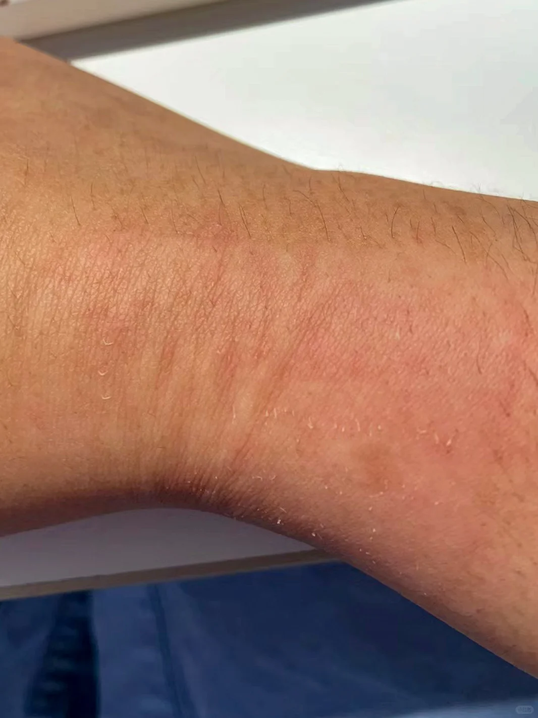 上班暂停!去免签的上帝后花园,逃离班味