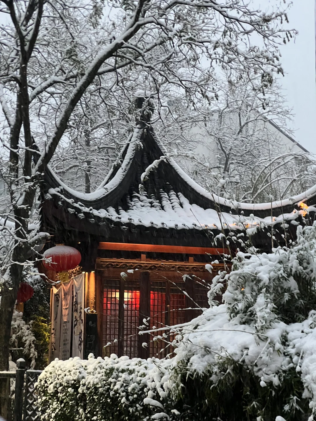 下个月的南京是这样的！！！