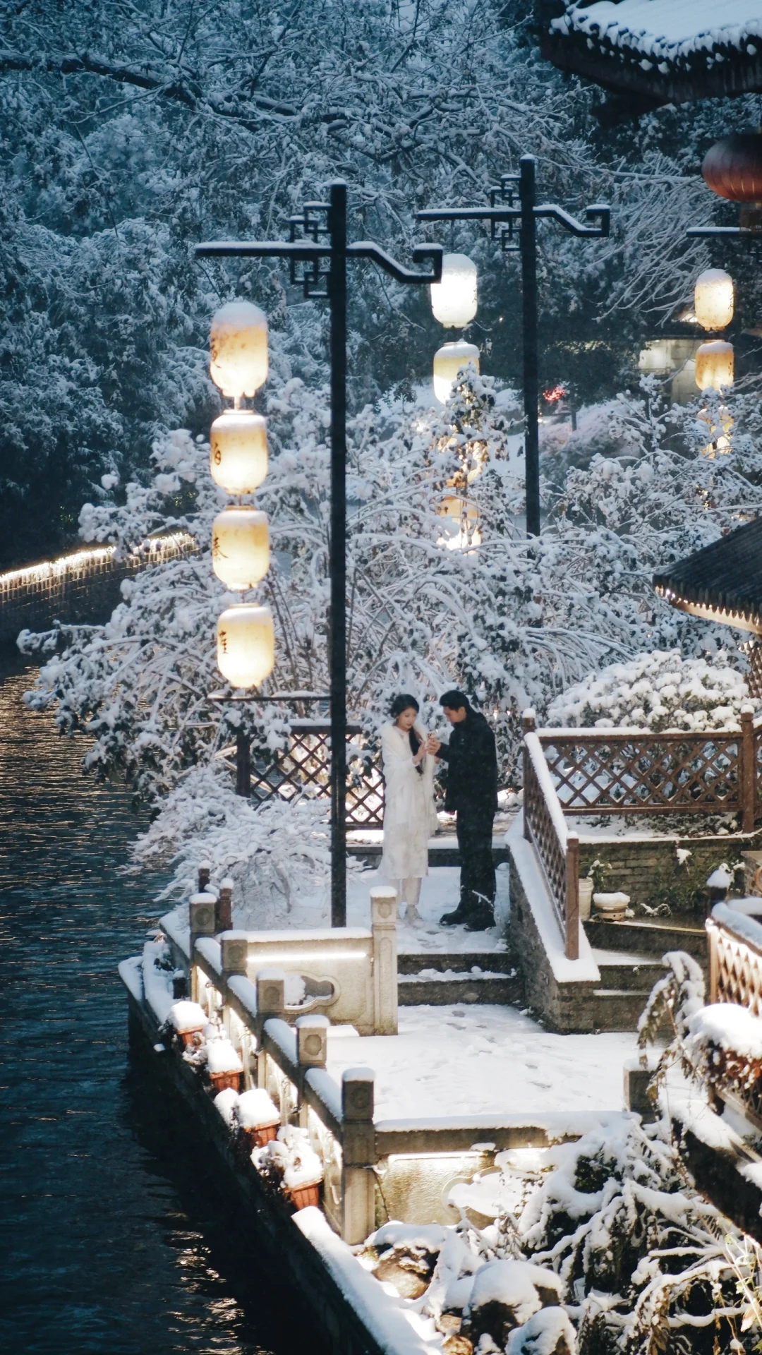 下个月的南京是这样的！！！