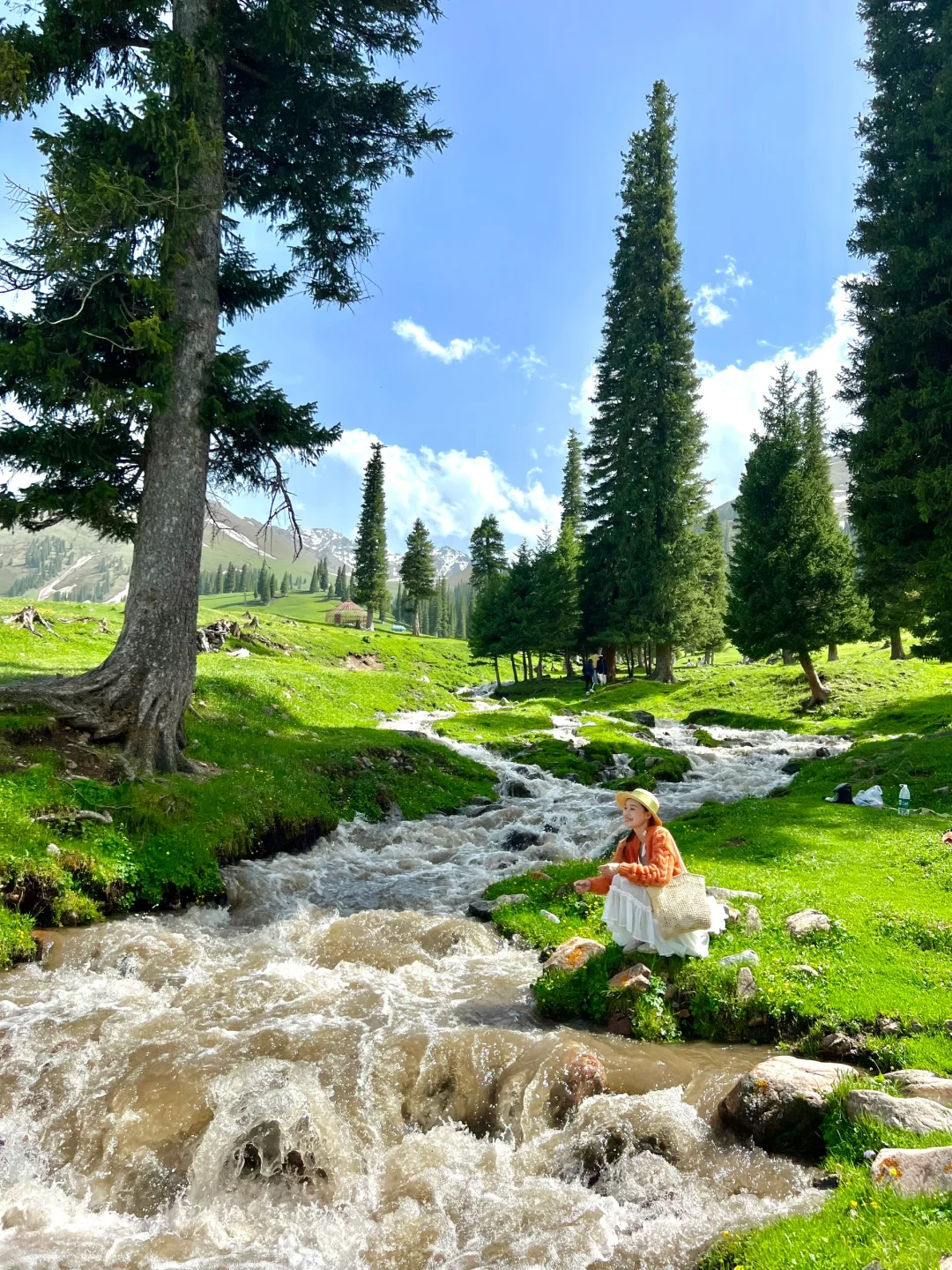 live图意义，终于找到了梦中的那片森林🌲