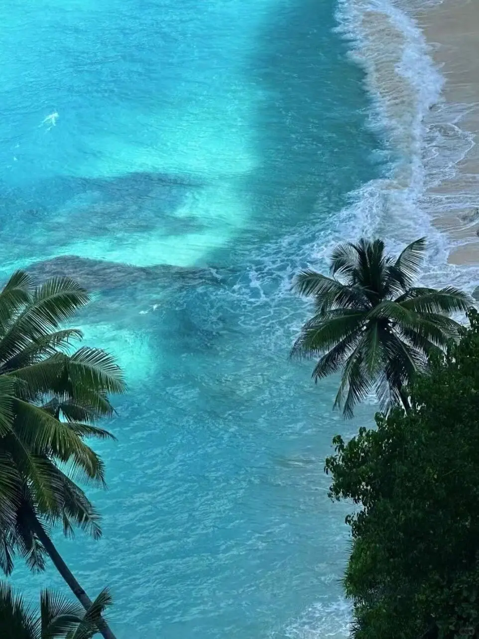 真心建议😅春节还是去斐济吧，划算哭😭
