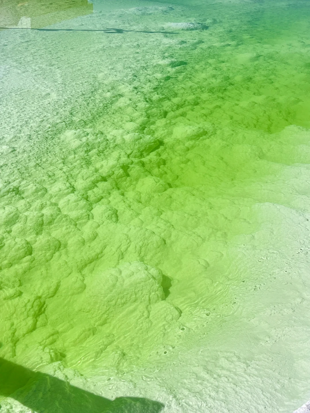 live图的意义 🍏察尔汗盐湖美到窒息…