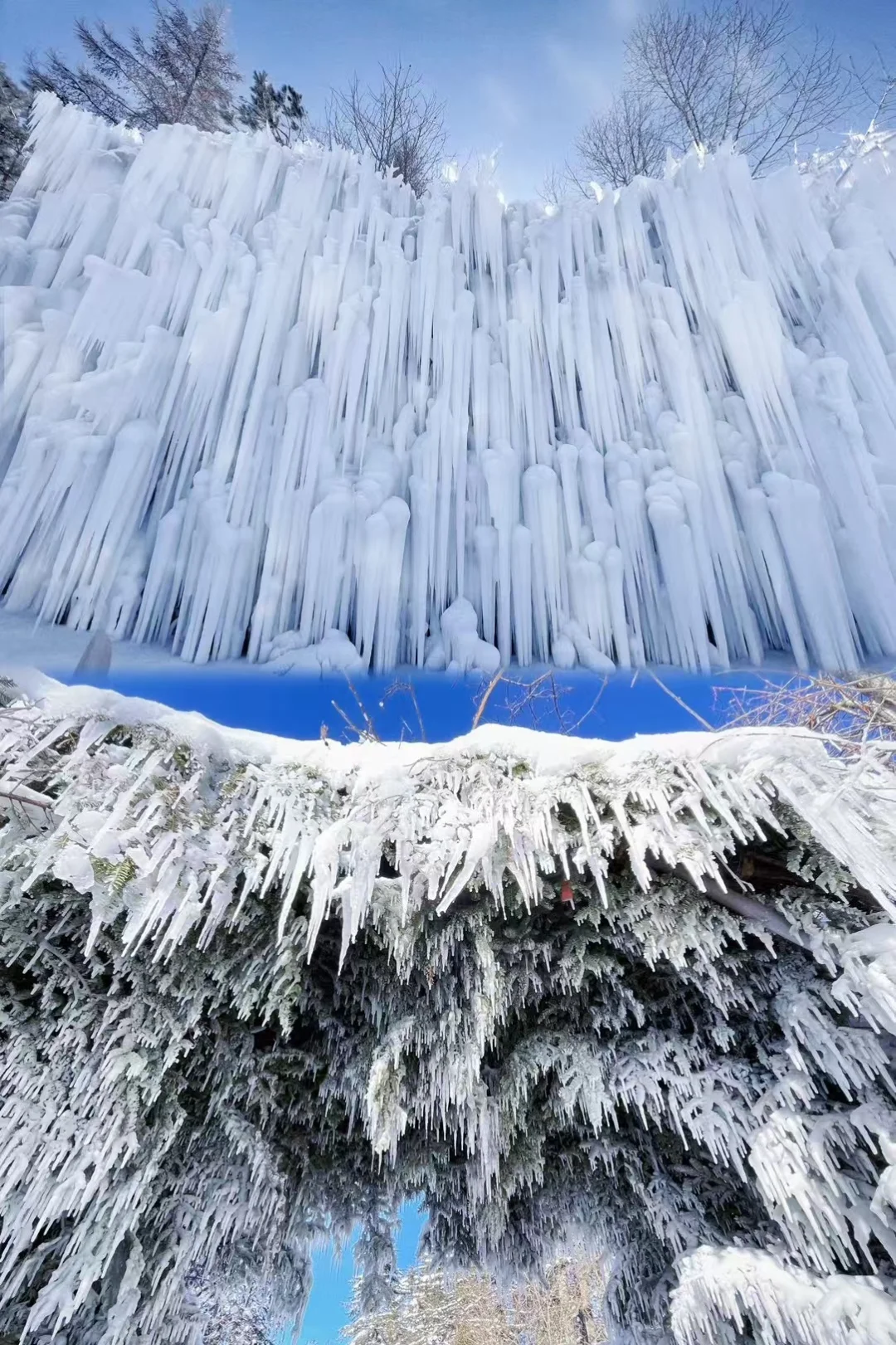 不跟团！东北8天7晚自由行🤩ʱªʱªʱª