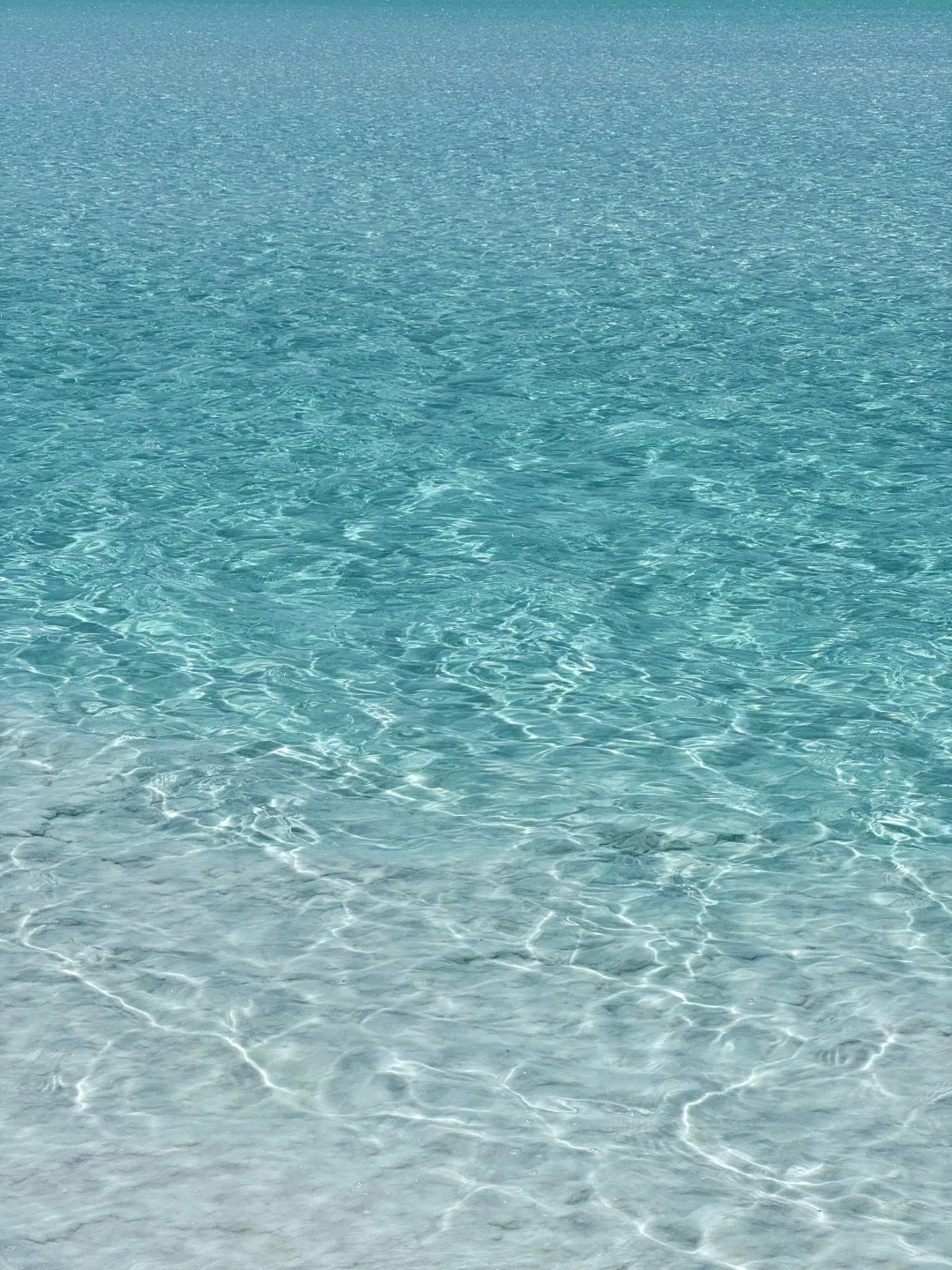 2024旅行结算｜我的年度live图