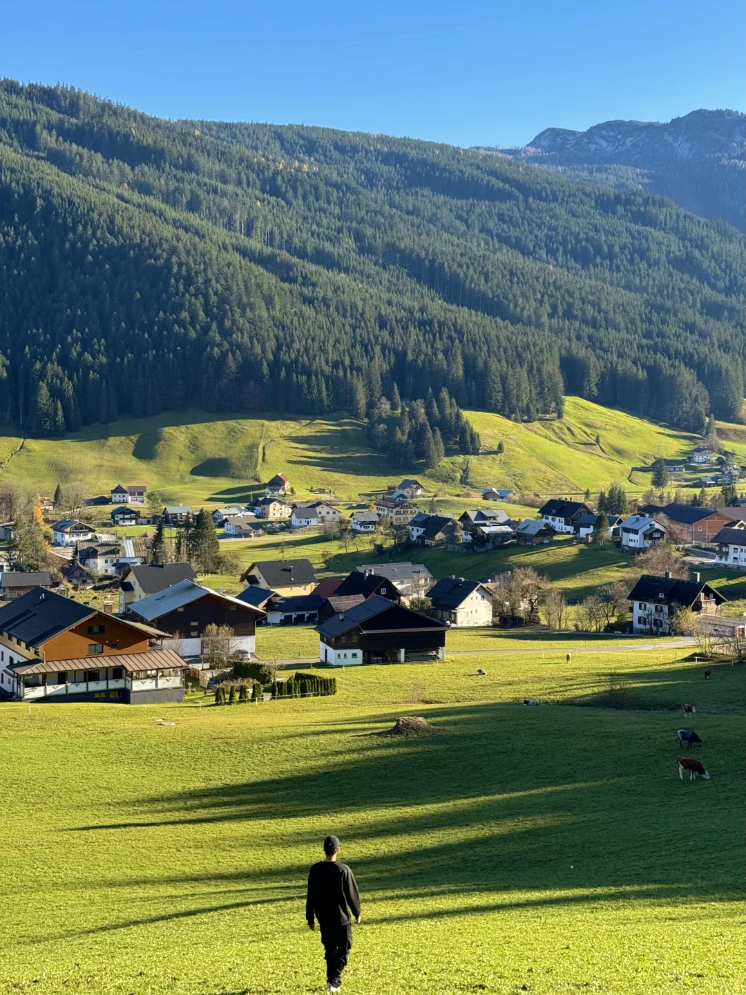 比起瑞士,我更爱这个被严重低估的宝藏国家