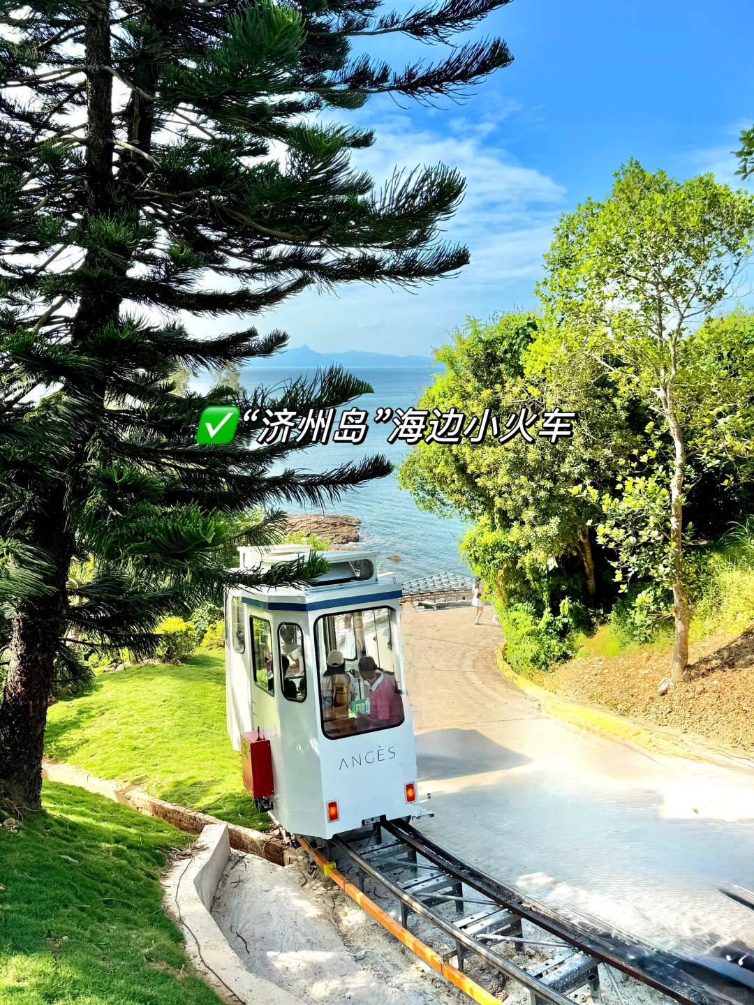 接下来深圳，堪称国内旅行天花板！附详细攻略