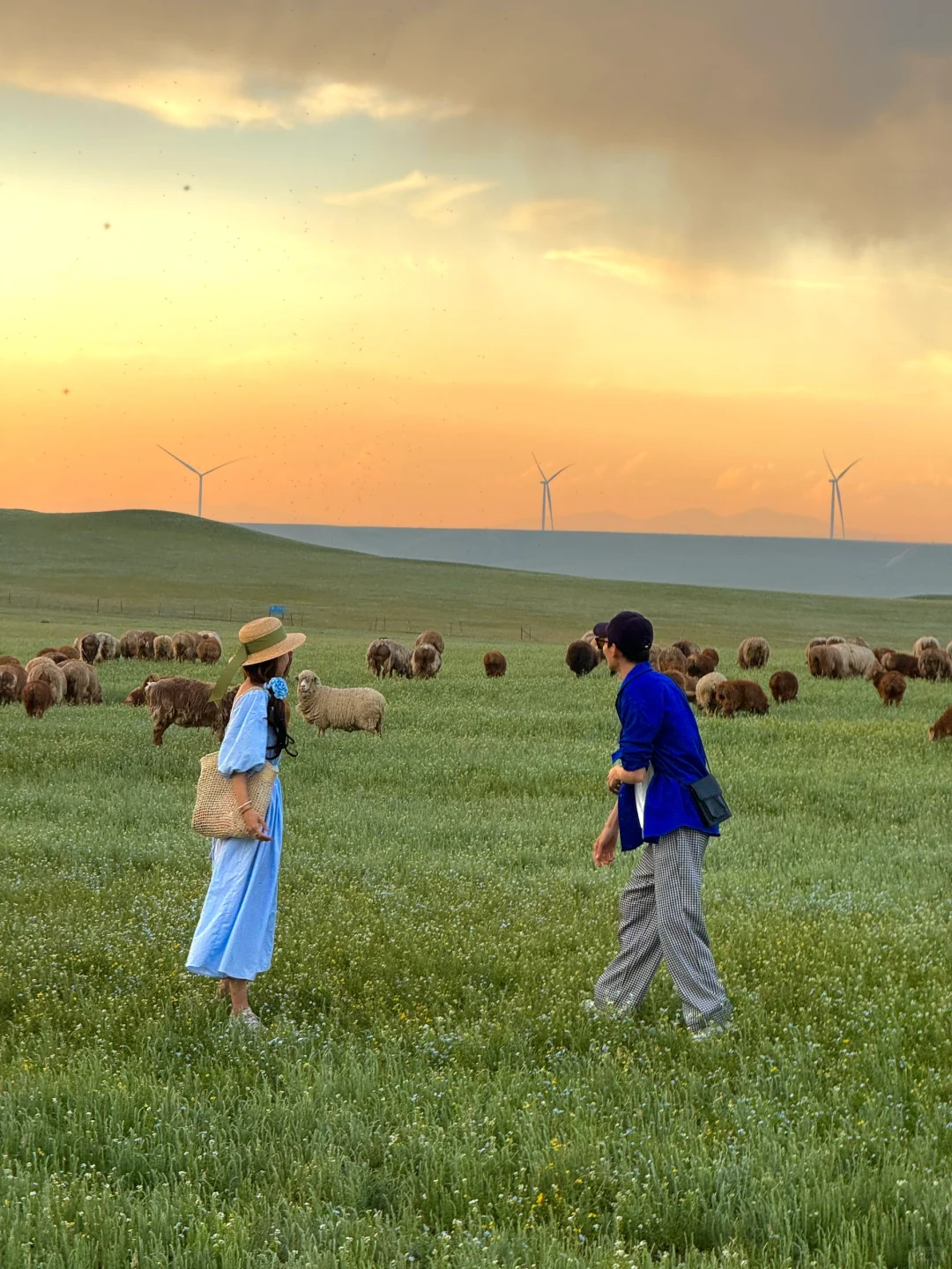 live图意义，终于找到了梦中的那片森林🌲