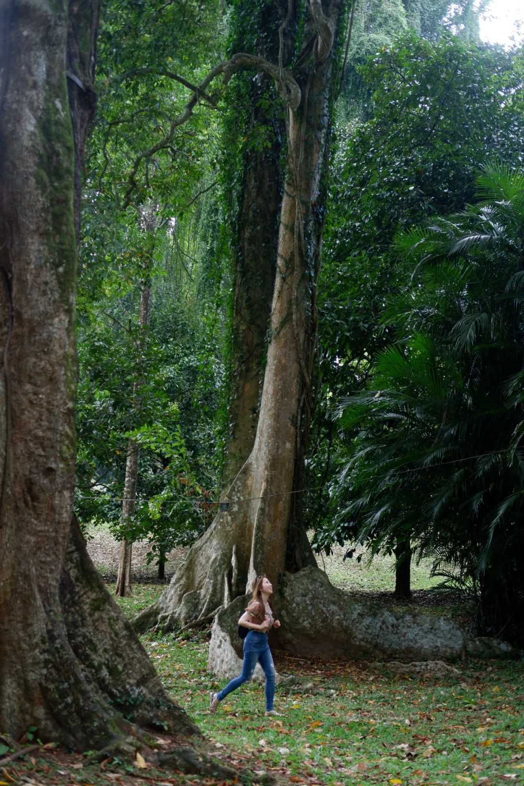 我放弃泰国了😭斯里兰卡真的又便宜又安全!