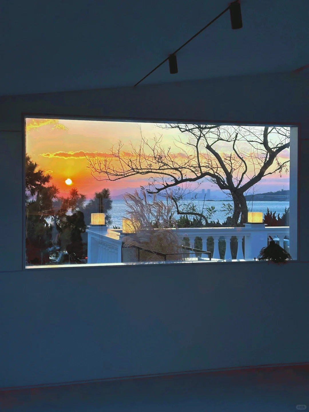 12.18青岛实况 | 从黄昏至蓝调人生moment+1