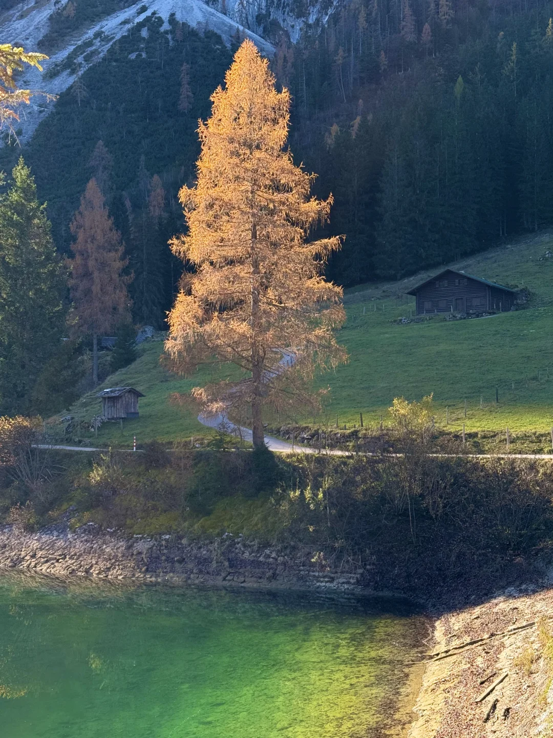 比起瑞士,我更爱这个被严重低估的宝藏国家