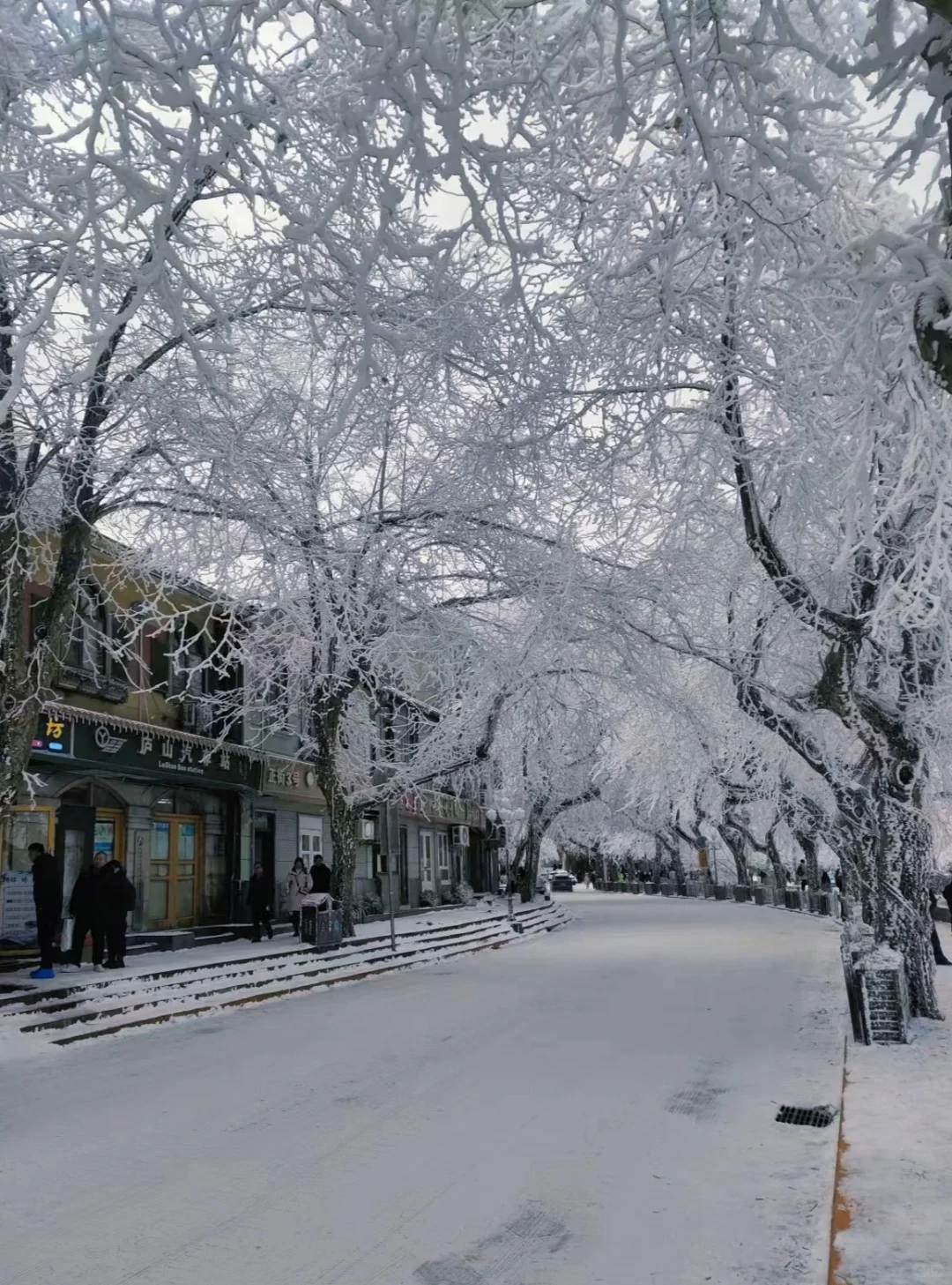 不是北海道！是庐山！