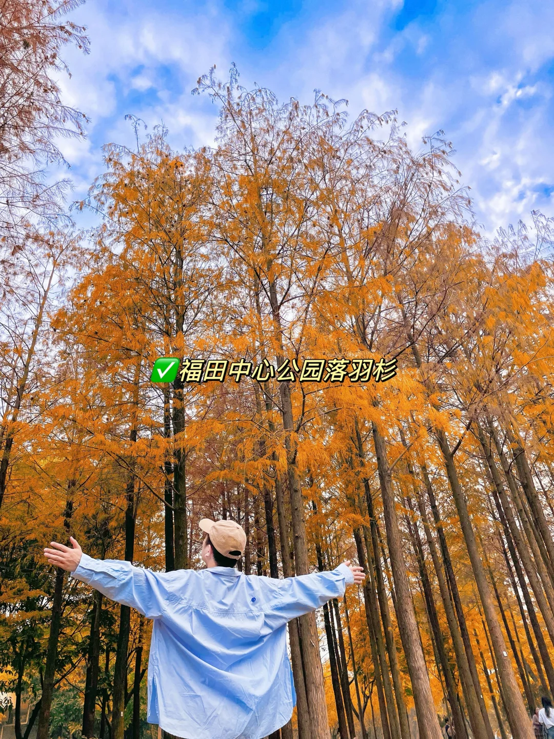 接下来深圳，堪称国内旅行天花板！附详细攻略