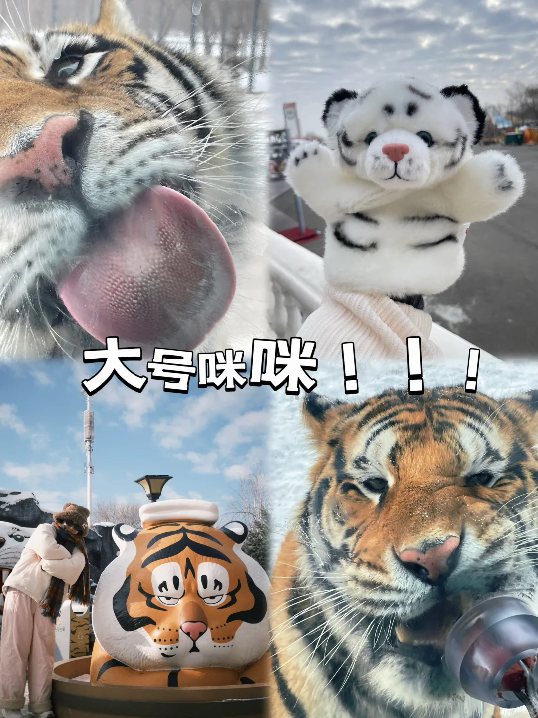 不跟团！东北8天7晚自由行🤩ʱªʱªʱª