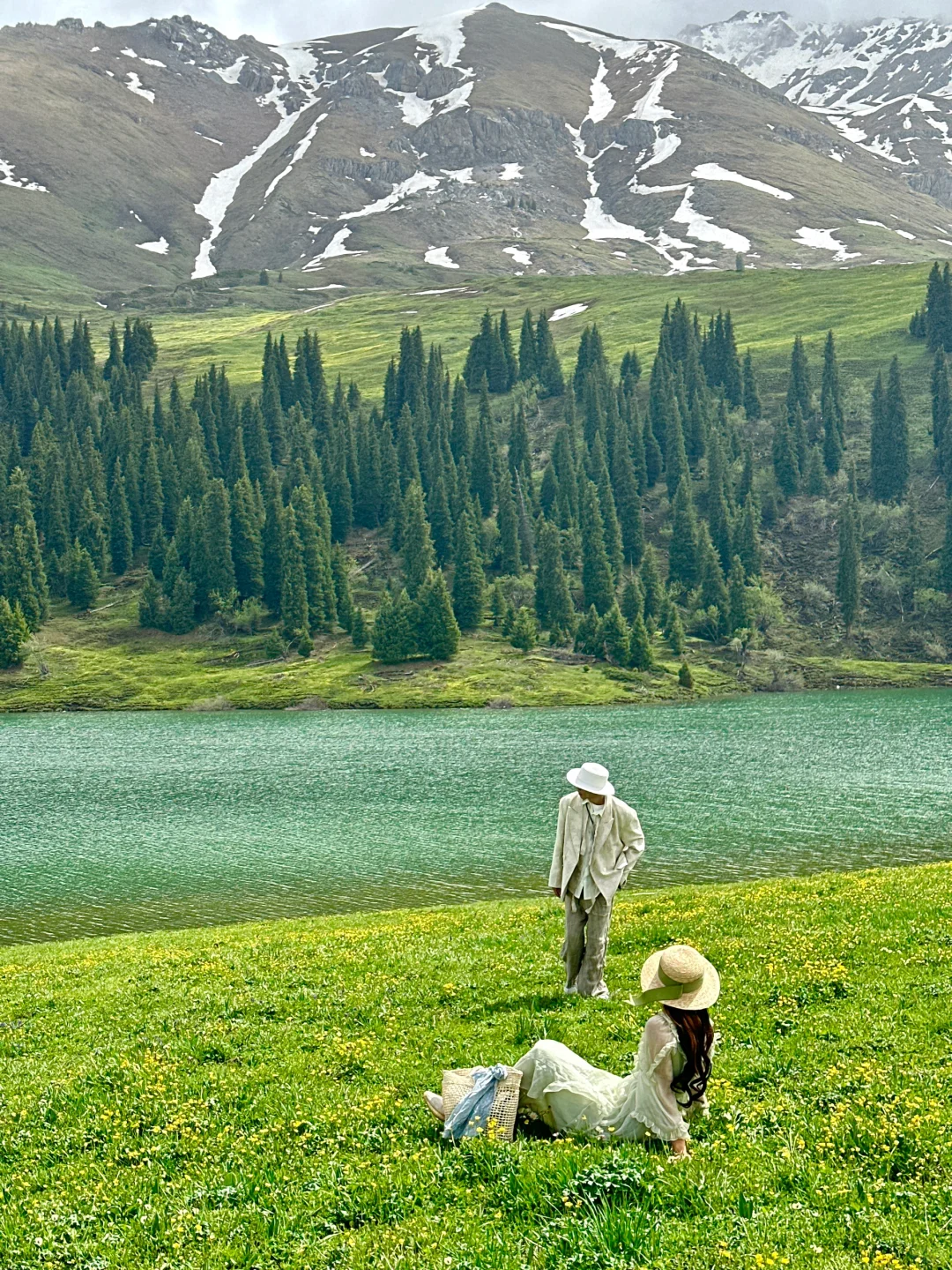 live图意义，终于找到了梦中的那片森林🌲