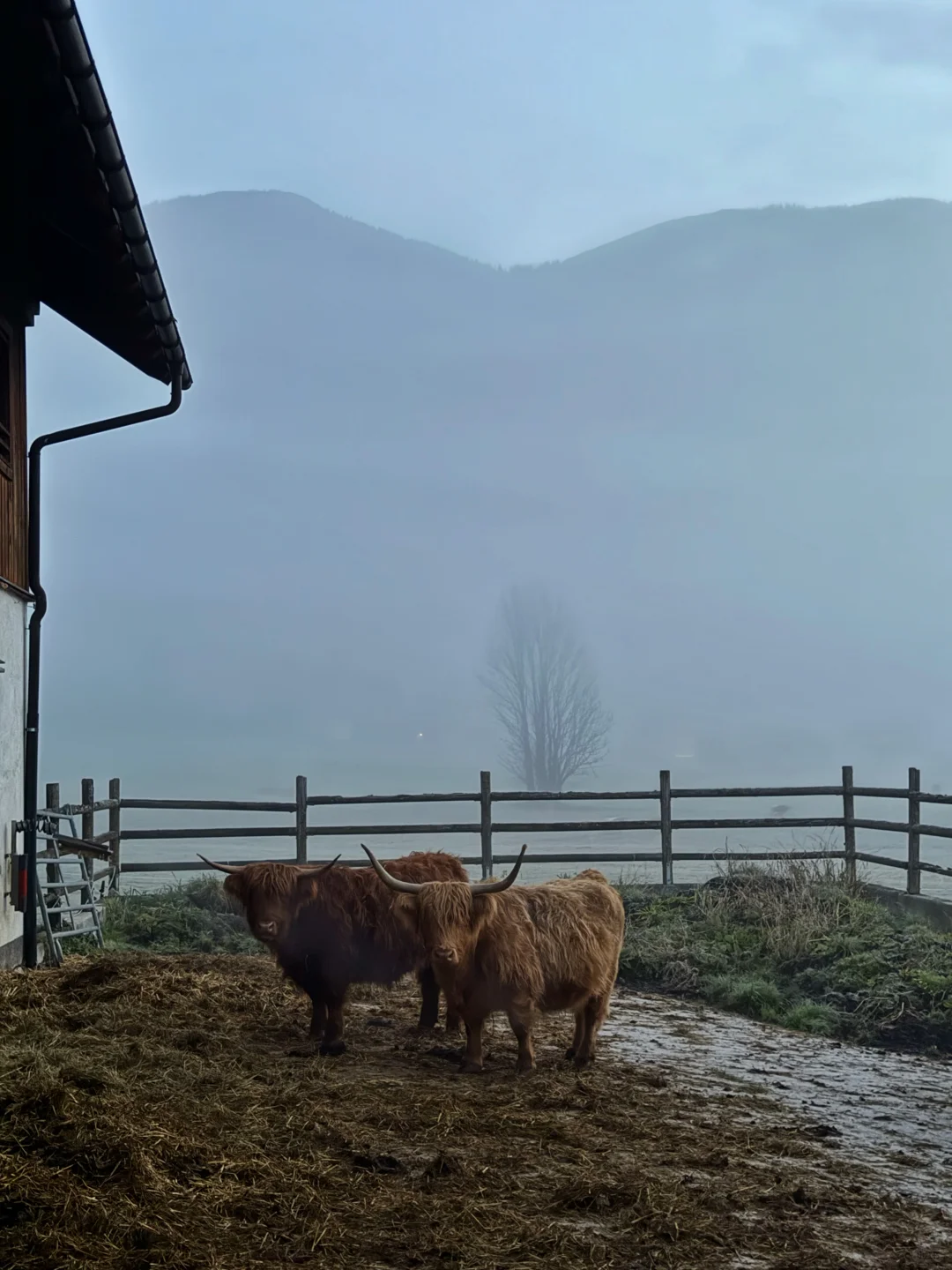 比起瑞士,我更爱这个被严重低估的宝藏国家
