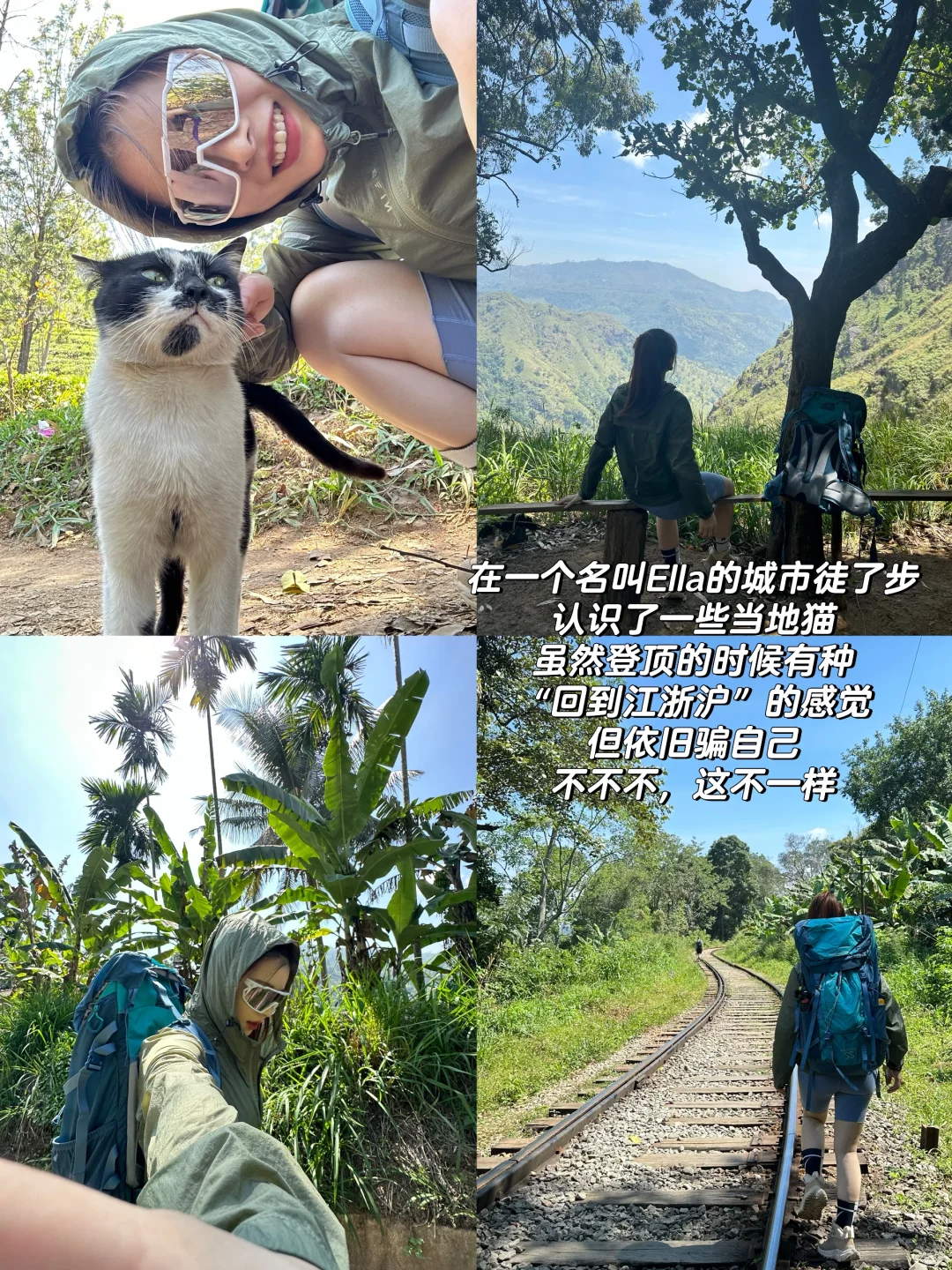 我放弃泰国了😭斯里兰卡真的又便宜又安全!